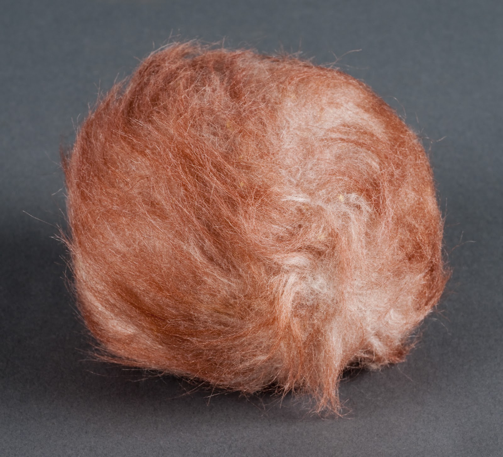 Tribble
